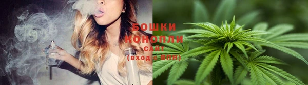 дмт Зерноград