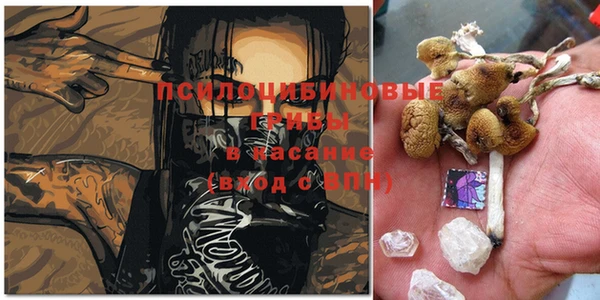 не бодяженный Зеленодольск