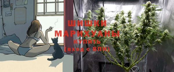 дмт Зерноград